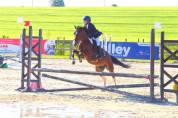 Poney 5 ans