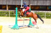 Poney 5 ans