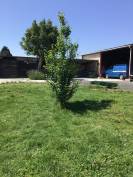 Propriété rurale  3,9 hectares entièrement clos