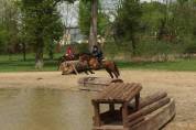Demi-pension cheval 12 ans