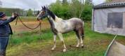 Entier 2ans