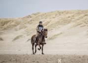 Trotteur 8 ans 