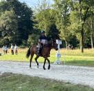 Trotteur 8 ans 
