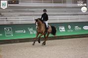 Hongre 4ans à vendre