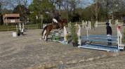 jument AA, sport loisir 