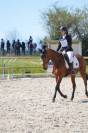 jument AA, sport loisir 