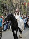 Cheval extra à vendre 