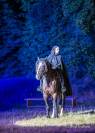 Cheval extra à vendre 