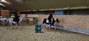 Top Poney de club
