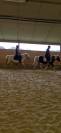 Top Poney de club