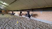 Top Poney de club