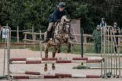 Ponette 