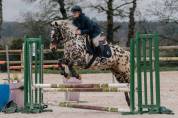 Ponette 