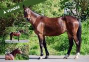♀️ 4ans D. Usandro*Millefeux 