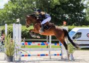 Top jeune cheval CSO