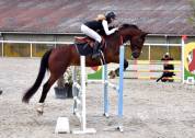 Top jeune cheval CSO