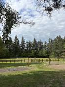 Pension chevaux 