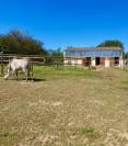 Pension chevaux en bord de mer