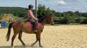 HONGRE 4 ans extra facile et gentil 