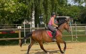 HONGRE 4 ans extra facile et gentil 