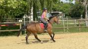 HONGRE 4 ans extra facile et gentil 