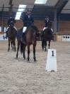 Jument CSO de 9 ans
