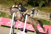 Top jument pour CSO amateur
