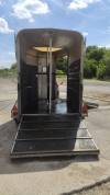 Van Ifor Williams 2 chevaux