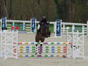 Alma Alia - jument - 15 ans 