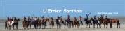 MONITEUR / MONITRICE EQUITATION