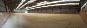 MONITEUR / MONITRICE EQUITATION