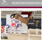 Superbe foal SF, TBO CSO