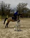 Top ponette 