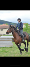 Poulain PFS