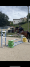 Poulain PFS