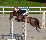 Poulain PFS