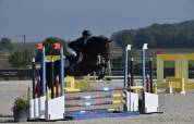 A vendre ponette de 4 ans pour asp1 minimum 