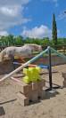 Ponette Connemara 3 ans Gros potentiel