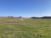 Très jolie propriété en pierre touristique et agricole