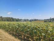 Propriété agricole sur 25ha