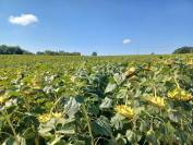 Propriété agricole sur 25ha