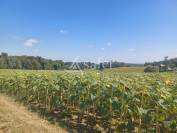 Other agricultural property  Lot-et-Garonne