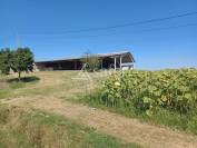 Other agricultural property  Lot-et-Garonne