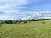 Albergue ecuestre En venta Alpes de Alta Provenza
