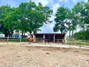 Propiedad ecuestre En venta Pirineos Atlánticos