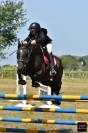 Poney pfs 6ans pour cce
