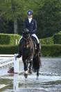 Jument de dressage 
