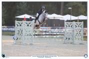 Cheval de 6ans Gros Moyen