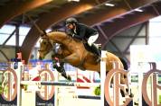 Cheval de sport  classé sur 125 / 130