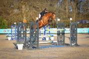 Cheval de sport  classé sur 125 / 130